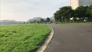 東京臨海広域防災公園