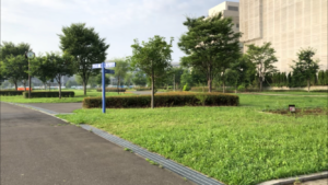 東京臨海広域防災公園