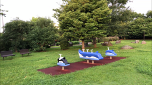 若洲公園