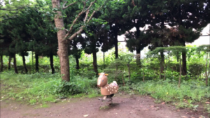 城東公園
