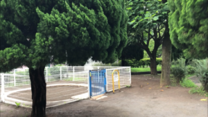 城東公園