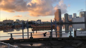 中の島公園