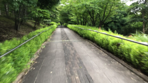 大島・小松川公園（風の広場）