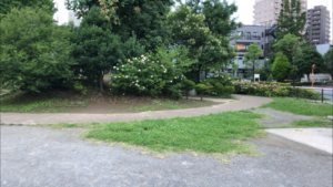 亀戸浅間公園